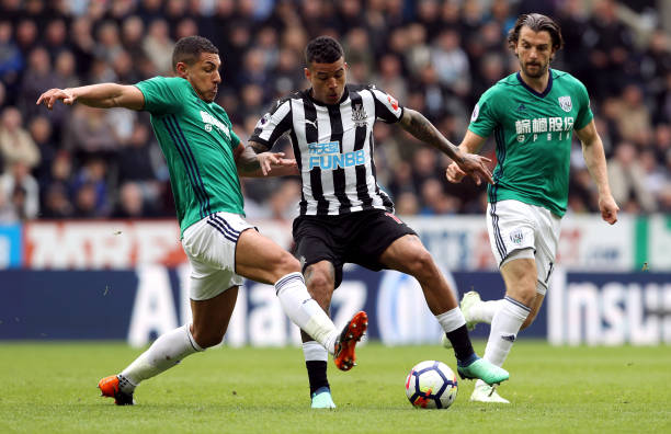 在浓眉哥和 在浓眉哥和