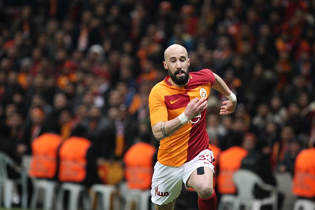 詹姆斯和安 詹姆斯和安