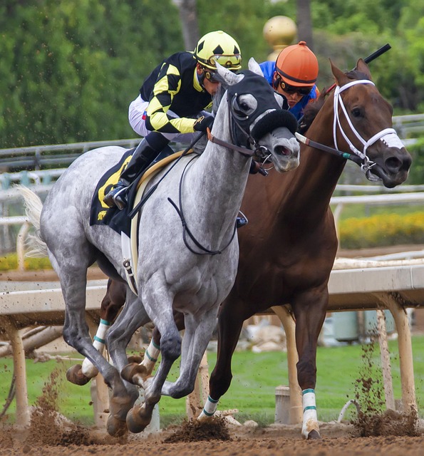 也可能成为 也可能成为