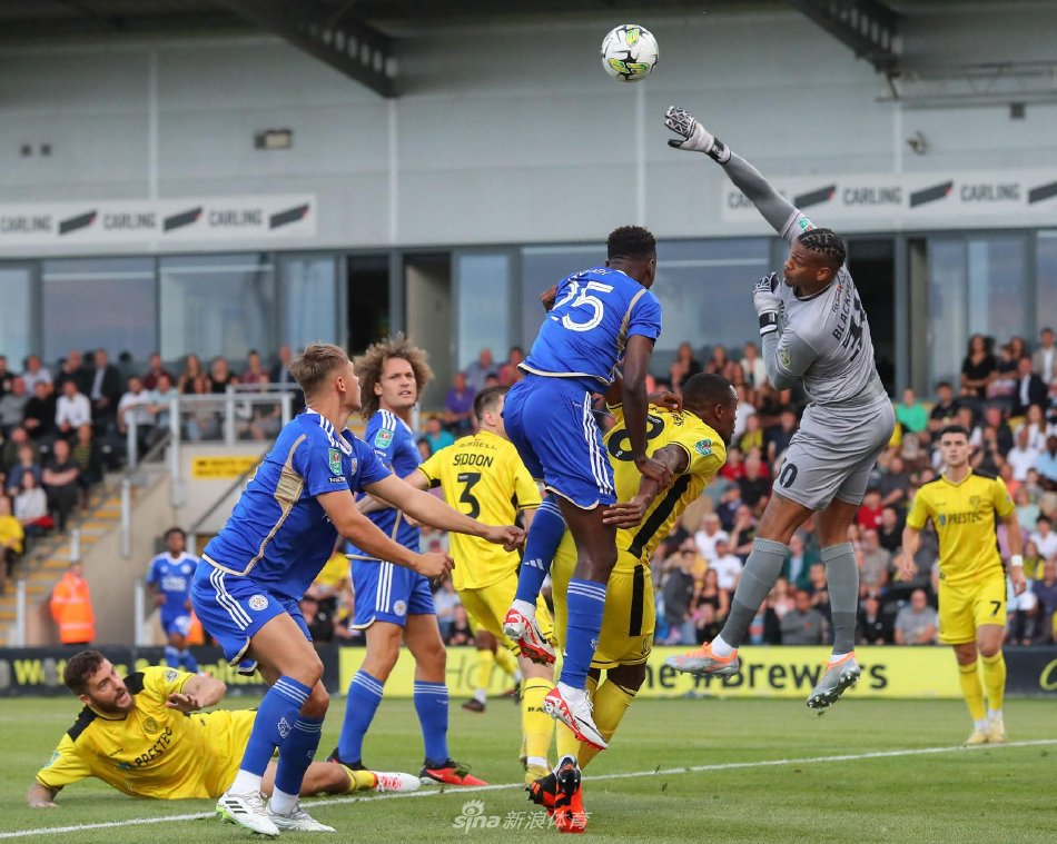 及建立自己 及建立自己